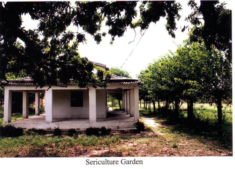 Udai Pratap College Varanasi Academic Building photo 11